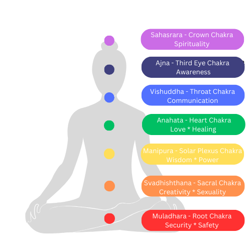Add on ~ Chakra Stone Mini Reading